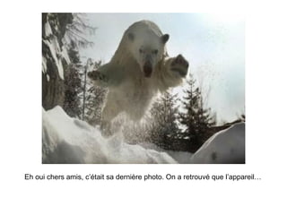 Eh oui chers amis, c’était sa dernière photo. On a retrouvé que l’appareil… 