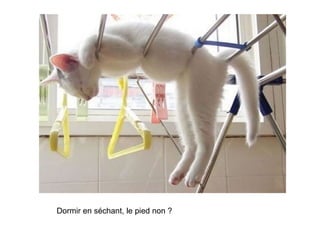 Dormir en séchant, le pied non ? 