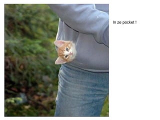In ze pocket ! 