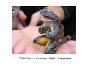 Pitiiiié ! Je vous assure que j’ai plein de vergetures ! 