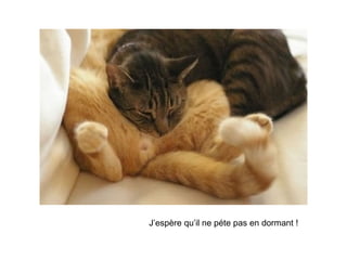 J’espère qu’il ne péte pas en dormant ! 