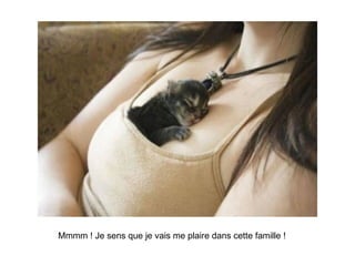 Mmmm ! Je sens que je vais me plaire dans cette famille ! 