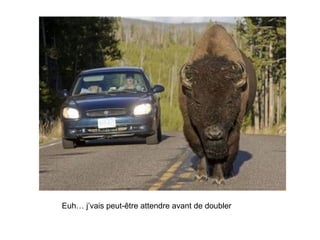 Euh… j’vais peut-être attendre avant de doubler 