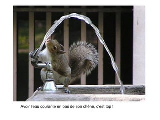 Avoir l’eau courante en bas de son chêne, c’est top ! 
