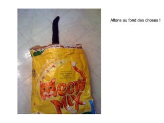 Allons au fond des choses ! 