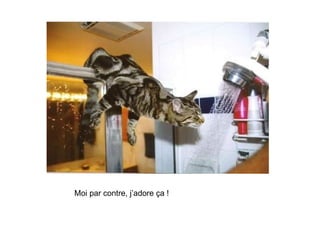 Moi par contre, j’adore ça ! 