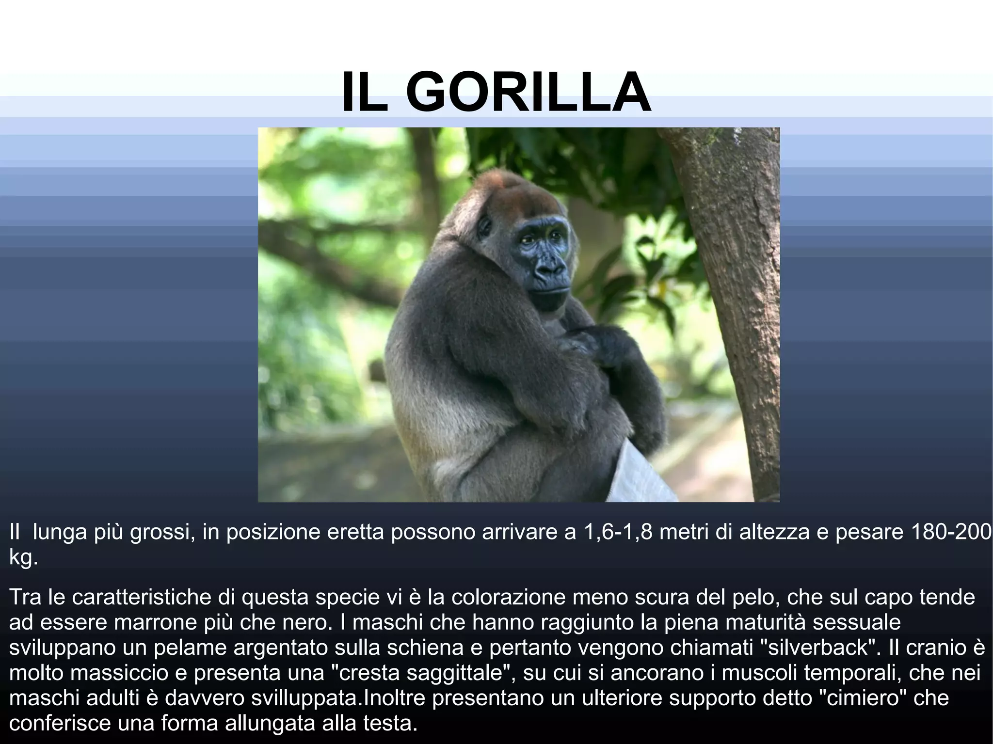 Animali In Via D Estinzione ODP Animali In Via D Estinzione ODP