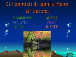 Gli animali di laghi e fiumi d’ Europa 
-MAMMIFERI -ANFIBI 
-VOLATILI - PESCI -RETTILI - INSETTI  
