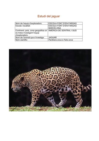 Estudi del jaguar

Nom de l’equip d’exploradors:       ESCOLA FONT D’EN FARGAS
Escola i localitat:                 ESCOLA FONT D’EN FARGAS
                                    BARCELONA
Continent, país, zona geogràfica on AMÈRICA DE SENTRAL I SUD
es troba investigant l’equip
d’exploradors:
Nom de l’animal que s’investiga:    JAGUAR
Nom científic:                      Panthera onca o Felis onca
 