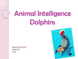 Animal Intelligence
      Dolphins


María José Quirós
English III
2012
 