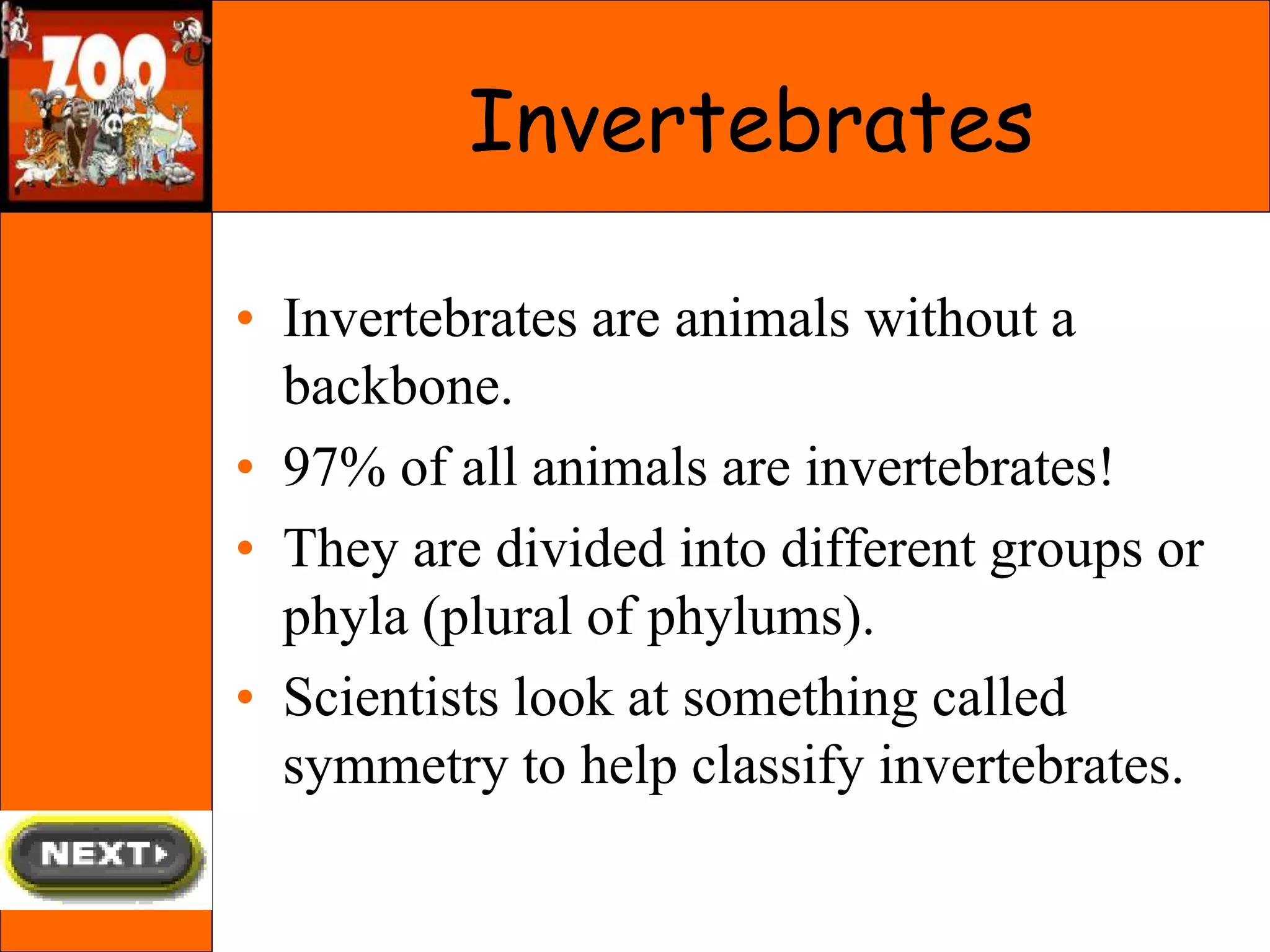 • Invertebrates are animals without a
backbone.
• 97% of all animals are invertebrates!
• They are divided into different groups or
phyla (plural of phylums).
• Scientists look at something called
symmetry to help classify invertebrates.
Invertebrates
 