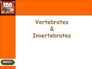 Vertebrates
&
Invertebrates
 