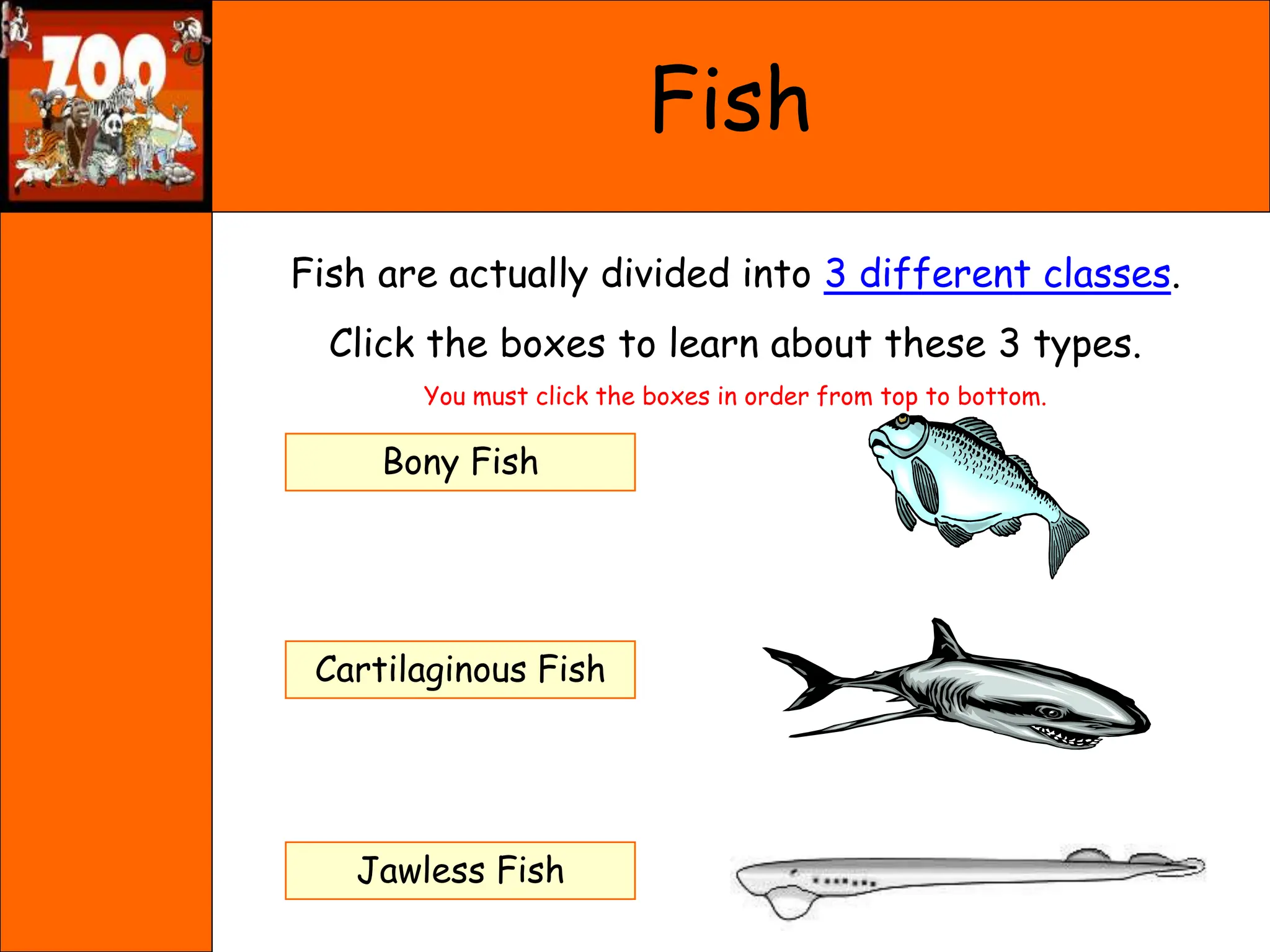 Fish
Fish are actually divided into 3 different classes.
Click the boxes to learn about these 3 types.
You must click the boxes in order from top to bottom.
Cartilaginous Fish
Bony Fish
Jawless Fish
 