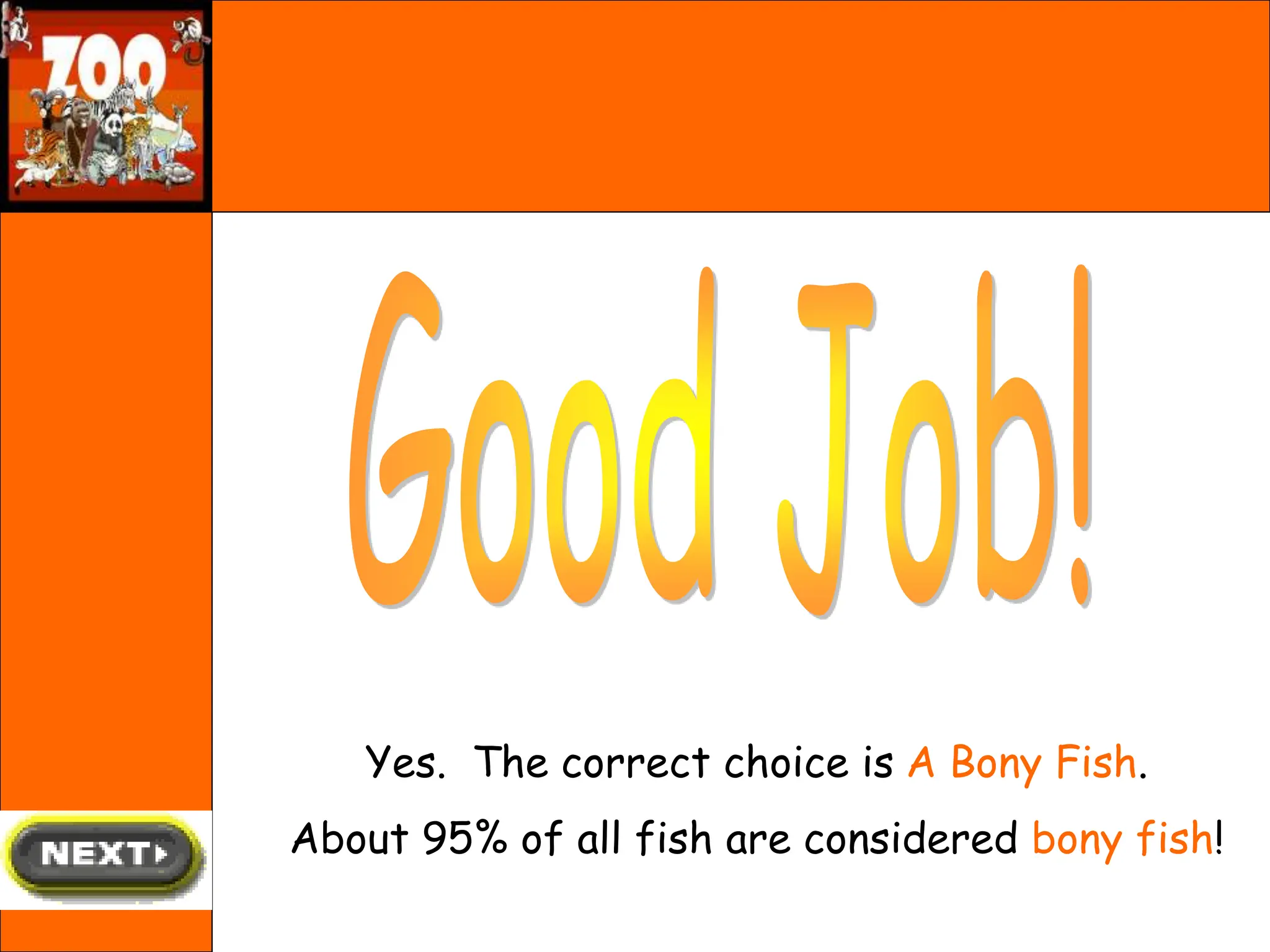 Yes. The correct choice is A Bony Fish.
About 95% of all fish are considered bony fish!
 