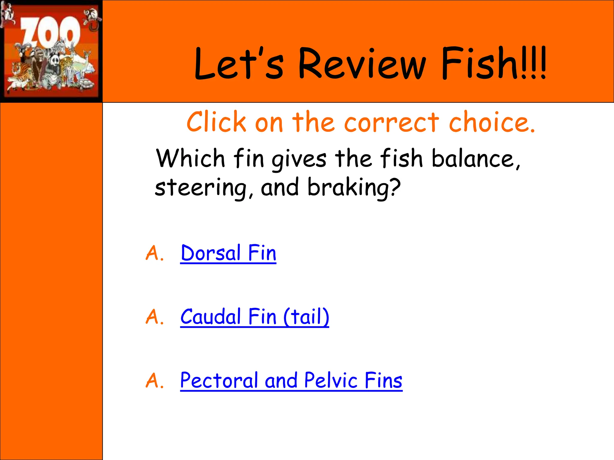 Click on the correct choice.
Which fin gives the fish balance,
steering, and braking?
A. Dorsal Fin
A. Caudal Fin (tail)
A. Pectoral and Pelvic Fins
Let’s Review Fish!!!
 