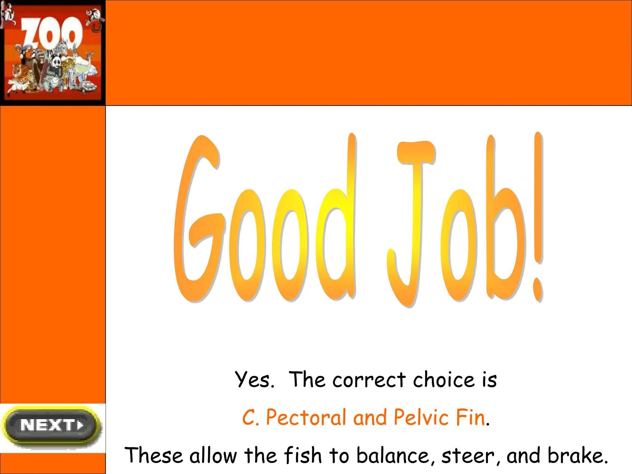 Yes. The correct choice is
C. Pectoral and Pelvic Fin.
These allow the fish to balance, steer, and brake.
 