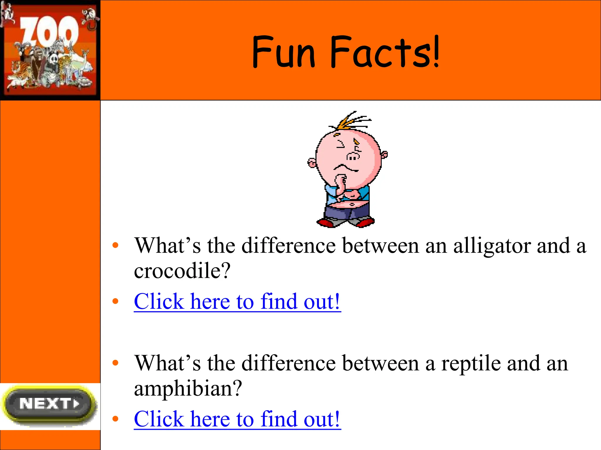 • What’s the difference between an alligator and a
crocodile?
• Click here to find out!
• What’s the difference between a reptile and an
amphibian?
• Click here to find out!
Fun Facts!
 