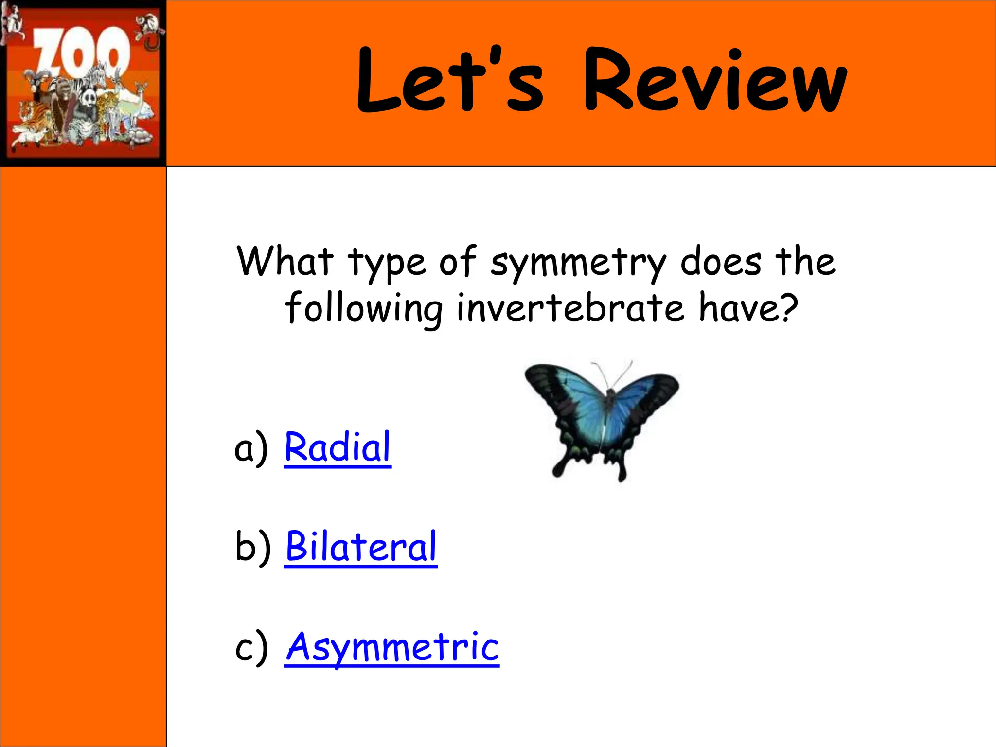 Let’s Review
What type of symmetry does the
following invertebrate have?
a) Radial
b) Bilateral
c) Asymmetric
 