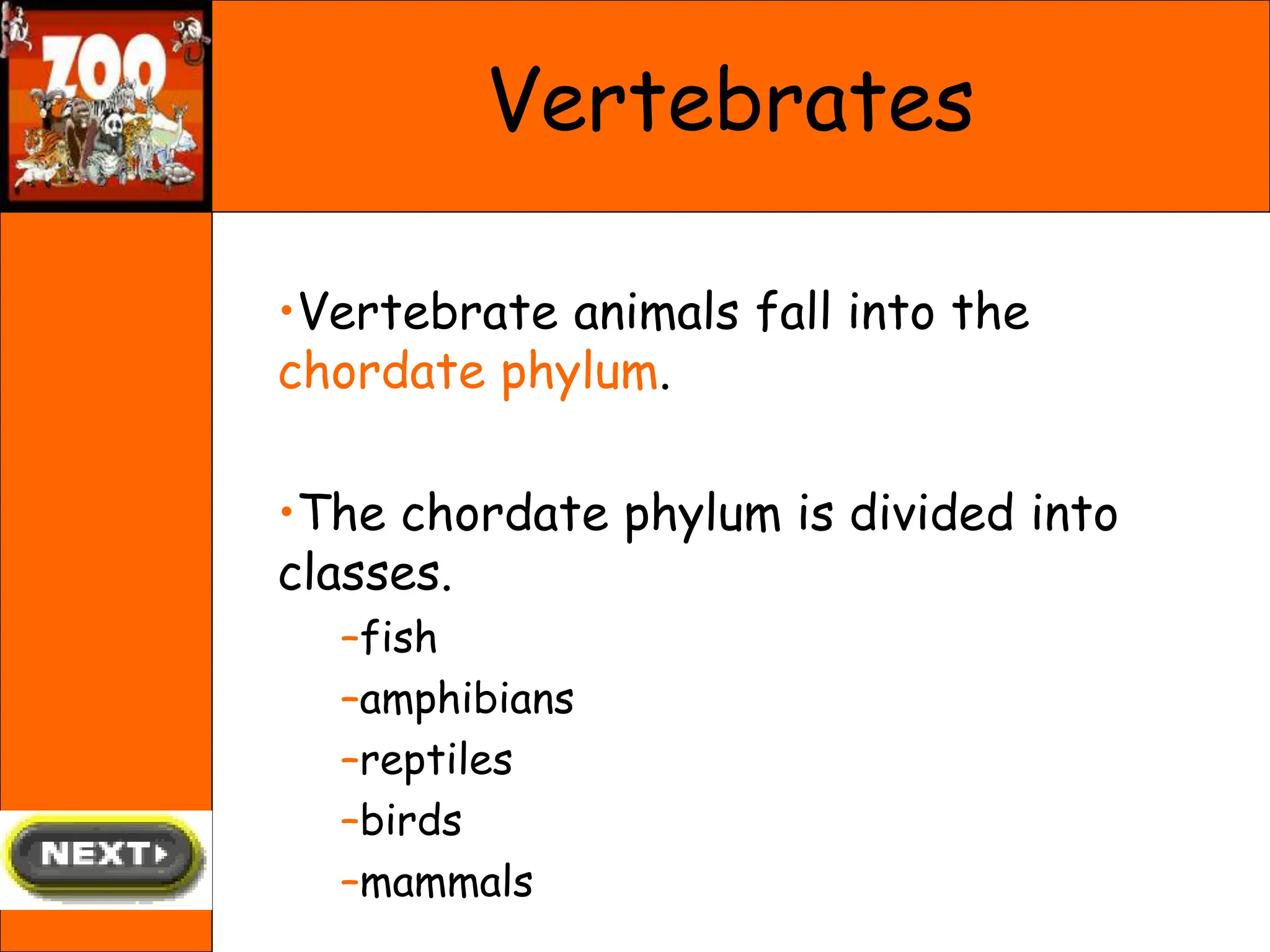 Vertebrates
•Vertebrate animals fall into the
chordate phylum.
•The chordate phylum is divided into
classes.
–fish
–amphibians
–reptiles
–birds
–mammals
 