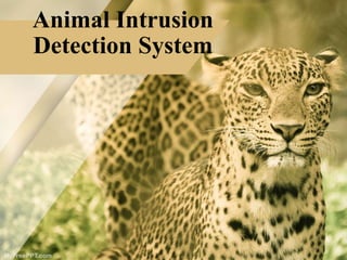 Animal Intrusion
Detection System
 