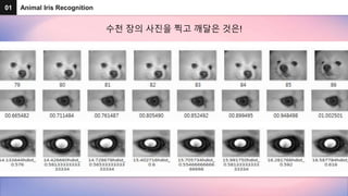01 Animal Iris Recognition
수천 장의 사진을 찍고 깨달은 것은!
 
