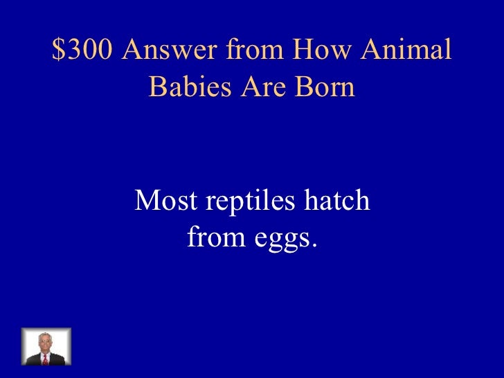 Animal jeopardy