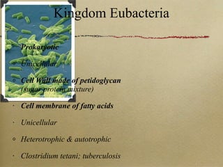 Kingdom Eubacteria Prokaryotic Unicellular Cell Wall made of petidoglycan  (sugar protein mixture) Cell membrane of fatty acids Unicellular Heterotrophic & autotrophic  Clostridium tetani; tuberculosis 