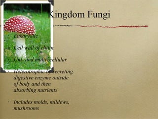 Kingdom Fungi Eukaryotic Cell wall of chitin Uni- and multi- cellular Heterotrophic by secreting digestive enzyme outside of body and then absorbing nutrients Includes molds, mildews, mushrooms 
