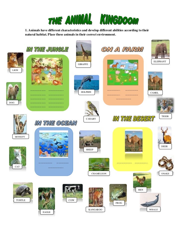 kindergarten worksheet characteristics animal kingdom Animal