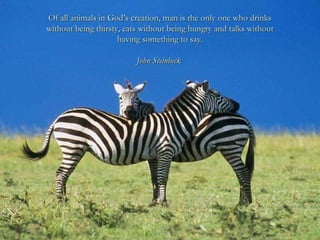 Of all animals in God’s creation, man is the only one who drinks
without being thirsty, eats without being hungry and talk...
