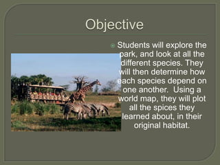    Students will explore the
    park, and look at all the
     different species. They
    will then determine how
    each species depend on
     one another. Using a
    world map, they will plot
        all the spices they
     learned about, in their
          original habitat.
 