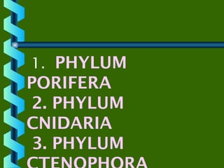 1. PHYLUM

PORIFERA
2. PHYLUM
CNIDARIA
3. PHYLUM

 