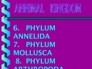 6. PHYLUM
ANNELIDA
7. PHYLUM
MOLLUSCA
8. PHYLUM

 