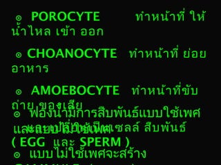 ๏ POROCYTE
นำ้ำ ไหล เข้ำ ออก

ทำำ หน้ำ ที่ ให้

๏ CHOANOCYTE ทำำ หน้ำ ที่ ย่อ ย
อำหำร
๏ AMOEBOCYTE ทำำ หน้ำ ที่ข ับ
ถ่ำ ย ของเสีย

๏ ฟองนำ้ำมีกำรสืบพันธ์แบบใช้เพศ
และเปลีย ช้เพศ
่
และแบบไม่ในเป็น เซลล์ สืบ พัน ธ์

( EGG และ SPERM )

๏ แบบไม่ใช้เพศจะสร้ำง

 