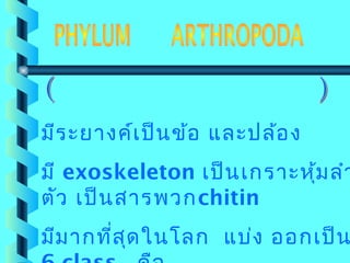 มีร ะยางค์เ ป็น ข้อ และปล้อ ง

มี exoskeleton เป็น เกราะหุ้ม ลำา
ตัว เป็น สารพวกchitin

มีม ากที่ส ุด ในโลก แบ่ง ออกเป็น

 