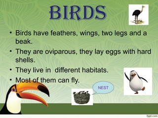 BIRDS
• Birds have feathers, wings, two legs and a
beak.
• They are oviparous, they lay eggs with hard
shells.
• They live in different habitats.
• Most of them can fly.
NEST
 