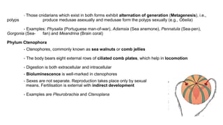 - Those cnidarians which exist in both forms exhibit alternation of generation (Metagenesis), i.e.,
polyps produce medusae asexually and medusae form the polyps sexually (e.g., Obelia)
- Examples: Physalia (Portuguese man-of-war), Adamsia (Sea anemone), Pennatula (Sea-pen),
Gorgonia (Sea- fan) and Meandrina (Brain coral)
Phylum Ctenophora
- Ctenophores, commonly known as sea walnuts or comb jellies
- The body bears eight external rows of ciliated comb plates, which help in locomotion
- Digestion is both extracellular and intracellular
- Bioluminescence is well-marked in ctenophores
- Sexes are not separate. Reproduction takes place only by sexual
means. Fertilisation is external with indirect development
- Examples are Pleurobrachia and Ctenoplana
 