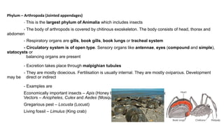 Phylum – Arthropoda (Jointed appendages)
- This is the largest phylum of Animalia which includes insects
- The body of arthropods is covered by chitinous exoskeleton. The body consists of head, thorax and
abdomen
- Respiratory organs are gills, book gills, book lungs or tracheal system
- Circulatory system is of open type. Sensory organs like antennae, eyes (compound and simple),
statocysts or
balancing organs are present
- Excretion takes place through malpighian tubules
- They are mostly dioecious. Fertilisation is usually internal. They are mostly oviparous. Development
may be direct or indirect
- Examples are
Economically important insects – Apis (Honey bee), Bombyx (Silkworm), Laccifer (Lac insect)
Vectors – Anopheles, Culex and Aedes (Mosquitoes)
Gregarious pest – Locusta (Locust)
Living fossil – Limulus (King crab)
 