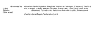 - Examples are Oviparous-Ornithorhynchus (Platypus); Viviparous - Macropus (Kangaroo), Pteropus
(Flying fox), Camelus (Camel), Macaca (Monkey), Rattus (Rat), Canis (Dog), Felis (Cat),
Elephas (Elephant), Equus (Horse), Delphinus (Common dolphin), Balaenoptera
(Blue whale),
Panthera tigris (Tiger), Panthera leo (Lion)
 