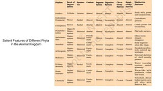 Salient Features of Different Phyla
in the Animal Kingdom
 