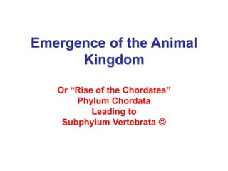 Emergence of the Animal
Kingdom
Or “Rise of the Chordates”
Phylum Chordata
Leading to
Subphylum Vertebrata 
 