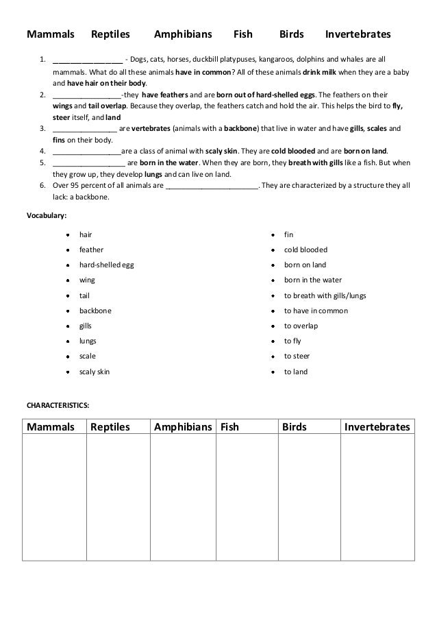 Animal Kingdom A Handout Exercises