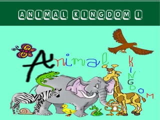 ANIMAL KINGDOM I 