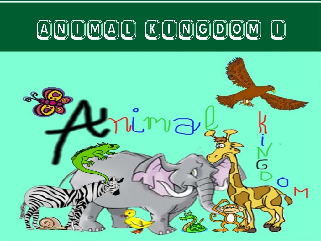 Animal kingdom 1