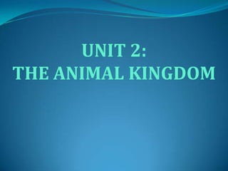 UNIT 2:
THE ANIMAL KINGDOM

 