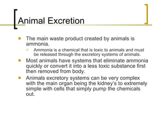 Animal kingdom comparative anatomy | PPT