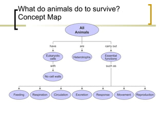 Animal kingdom comparative anatomy | PPT