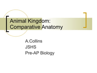 Animal Kingdom: Comparative Anatomy A.Collins JSHS Pre-AP Biology 