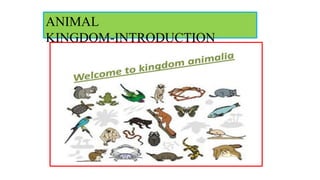 ANIMAL
KINGDOM-INTRODUCTION
 