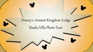 Disney’s Animal Kingdom Lodge 
Studio Villa Photo Tour 
 